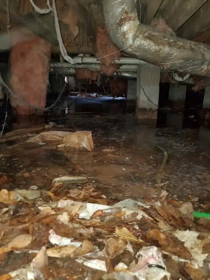 Crawl space flood assessment for Leak Detection & Repair in Jonesborough