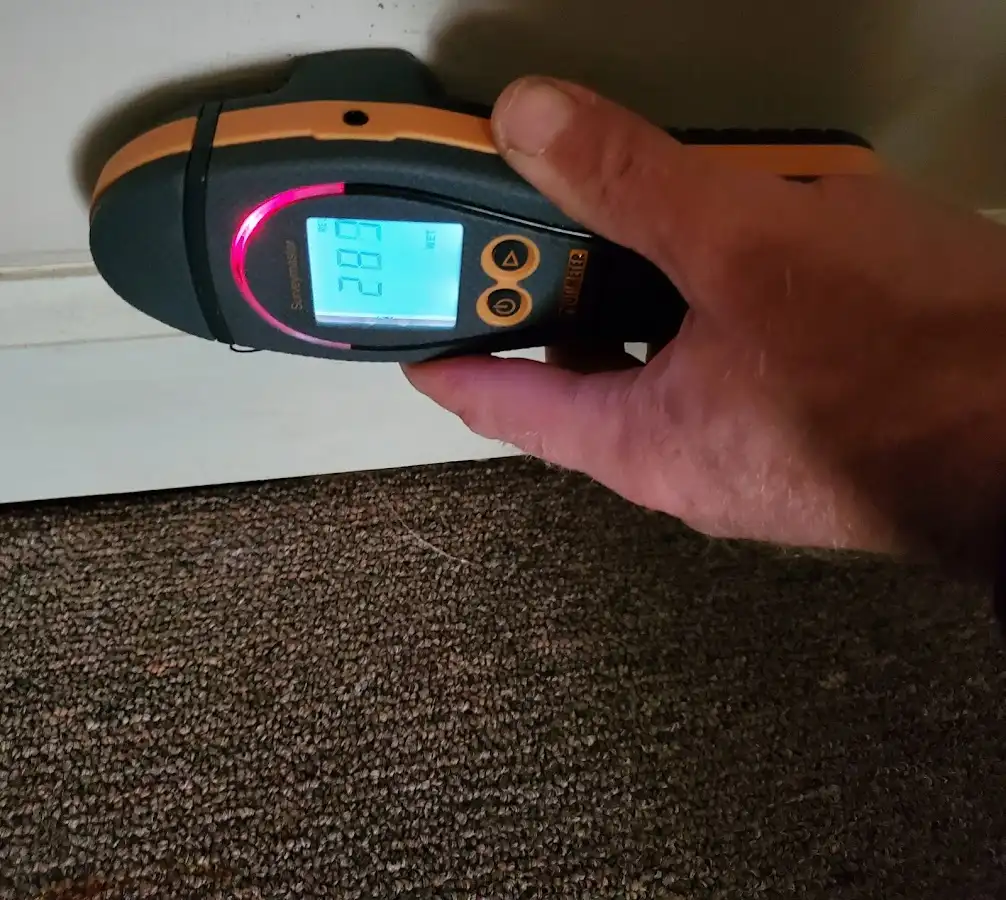 Moisture detection at baseboard during Mold Inspection & Testing in Jonesborough